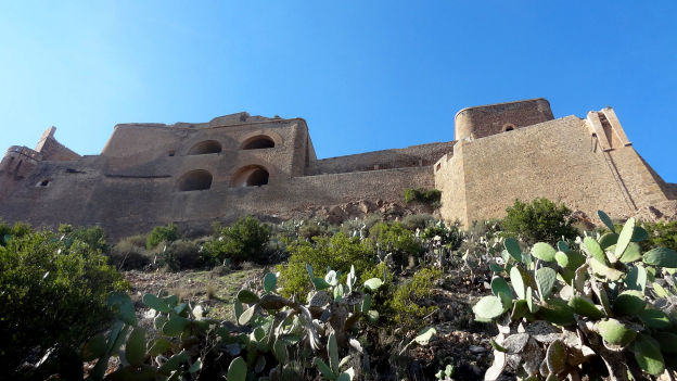 Oran