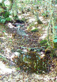 Source de l'Allier