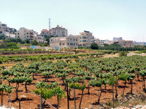 voyage en palestine