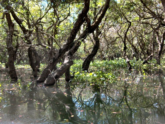 Photos du Tonlé Sap