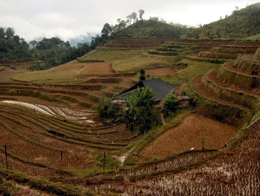 Photos du Vietnam