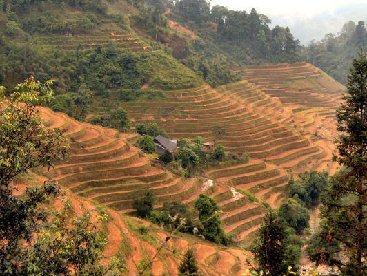 Photos de Vietnamiens
