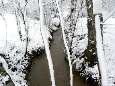 La rivière La Planche